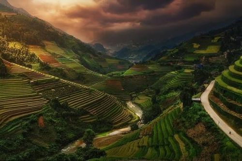 Ảnh ruộng bậc thang Việt Nam lọt top Cuộc thi ảnh quốc tế