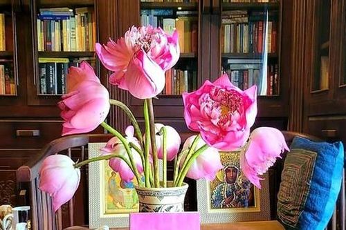 Hồng Thanh Quang và 'Chút sen còn lại'