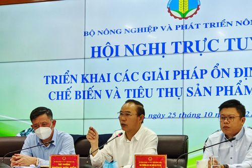 Ổn định sản xuất, chế biến và tiêu thụ sản phẩm chăn nuôi