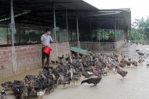 Hợp tác xã Nông nghiệp Bắc Lãng: Chú trọng phát triển sản phẩm, đáp ứng nhu cầu thị trườngTin khácXét tặng danh hiệu 'Công dân Lạng Sơn ưu tú': Tôn vinh những tấm gương điển hìnhNỗ lực thực hiện Nghị quyết số 116