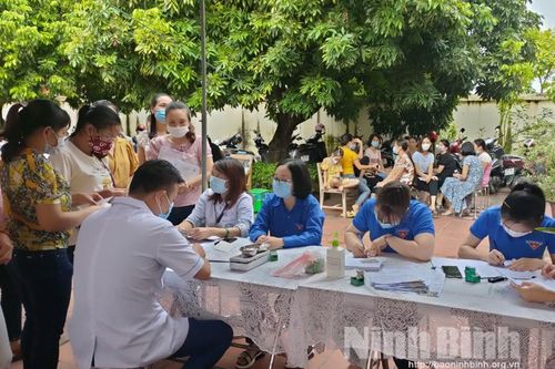 Huyện đoàn Hoa Lư đẩy mạnh học tập và làm theo lời Bác