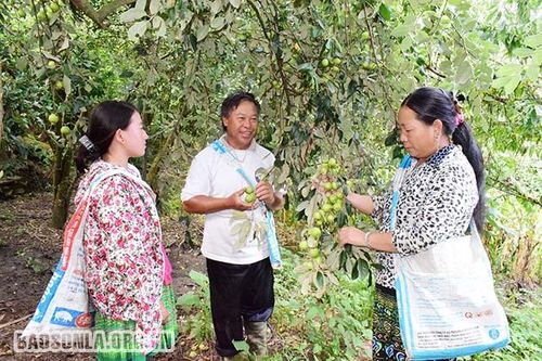 Đảng bộ xã Chiềng Công quan tâm công tác xây dựng Đảng