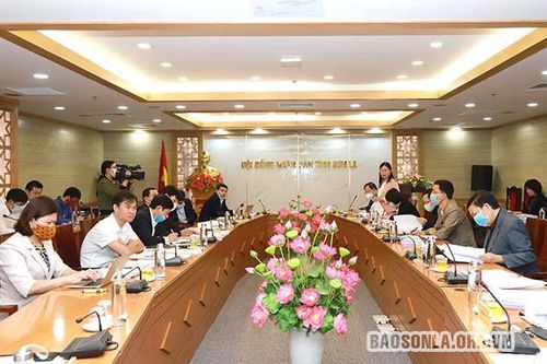 Thẩm tra các nội dung trình Kỳ họp chuyên đề lần thứ hai, HĐND tỉnh khóa XV