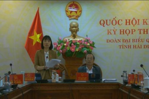 ĐBQH Nguyễn Thị Việt Nga (Hải Dương): Bổ sung thẩm quyền của công an xã là cần thiết