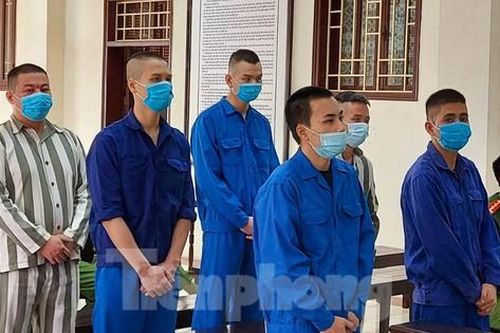 Tiến 'trắng' tố bố nuôi Đường 'Nhuệ' tại tòa