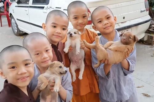 Giữa lùm xùm đấu tố, cuộc sống 5 'chú tiểu' ở Tịnh thất Bồng Lai từng tham gia gameshow giờ ra sao?
