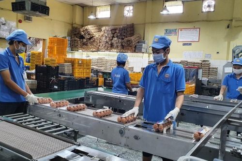 Miền Nam chủ động hàng hóa cho mùa kinh doanh cuối năm