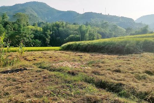 Thủy điện Bắc Cuông gây ảnh hưởng đất sản xuất của người dân