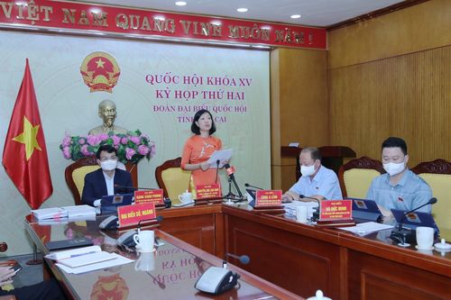Đại biểu Nguyễn Thị Lan Anh: Sửa đổi, bổ sung Luật Sở hữu trí tuệ sẽ luật hóa cam kết của Việt Nam trong các điều ước quốc tế