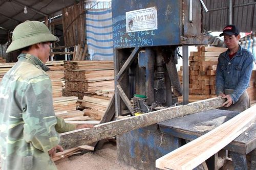 Đảm bảo an toàn lao động trong chế biến gỗ
