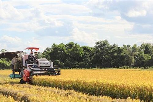 Cơ cấu lại nông nghiệp gắn với xây dựng nông thôn mới ở Hải Lăng
