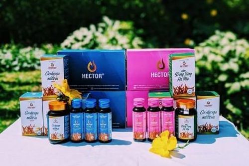 Kinh tế Thông tin thị trường Review đông trùng hạ thảo Hector có tốt không?