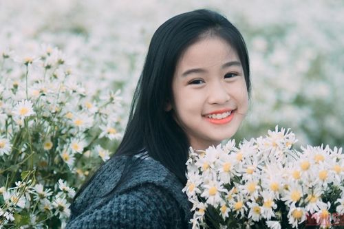 Hà Nội mùa 'họa mi' xuống phố