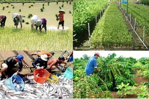 Hướng đến phát triển lương thực thực phẩm, nông lâm nghiệp bền vững