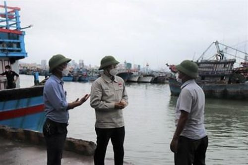 Phú Yên và Khánh Hòa mưa, lũ nguy hiểm, triển khai nhiều công tác ứng phó, khắc phục