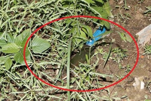 Khởi tố kẻ tàn tật sát hại người bị chất độc da cam