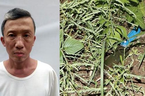 Hà Tĩnh: Khởi tố, tạm giam đối tượng khuyết tật sát hại người bị chất độc da cam