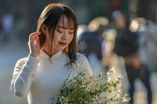 Cúc họa mi đầu mùa dịu dàng xuống phố hút khách mua