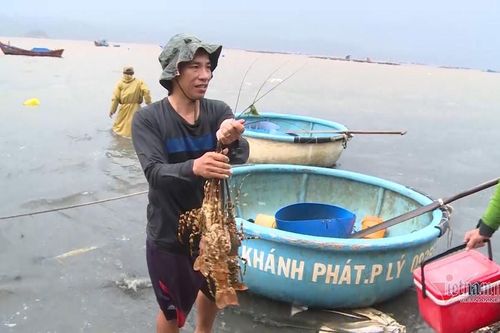 'Chết ngạt' sau cơn mưa lớn, làng biển thiệt hại hàng tỷ đồng