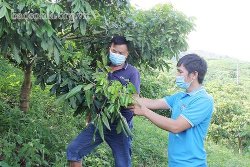Tà Lại phát huy nội lực xây dựng nông thôn mới