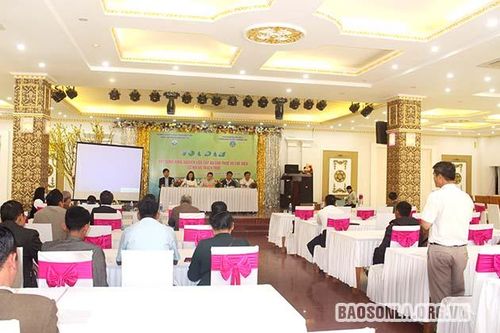 Tọa đàm xây dựng vùng nguyên liệu cây ăn quả phục vụ chế biến cơ hội và thách thức