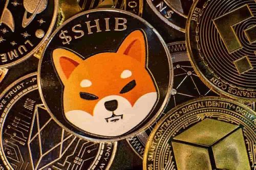 Shiba Inu lập đỉnh mới