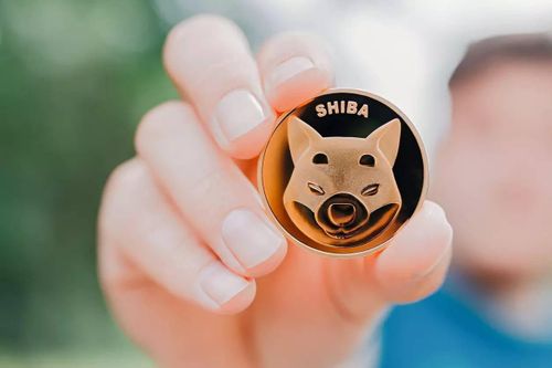Một tài khoản sở hữu lượng coin tỷ USD nhờ mua Shiba Inu