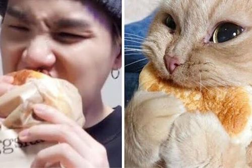 Phải có lý do rõ ràng tại sao ARMY lại gọi Suga BTS là 'Lil Meow Meow'