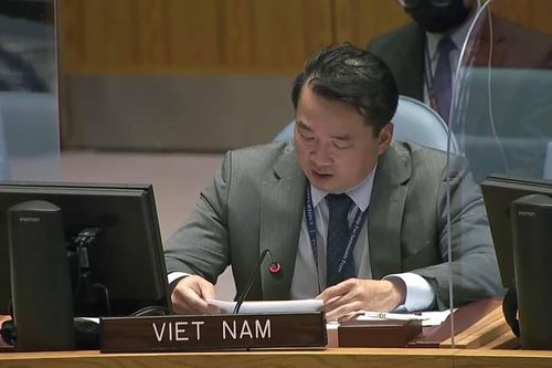 Việt Nam ủng hộ giải pháp chính trị do người dân Syria dẫn dắt và làm chủ