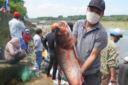 Người dân bắt cá sau khi thủy điện ngưng xả tràn