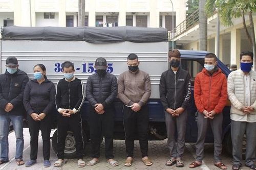 Băng 'miêu tặc' sa lưới