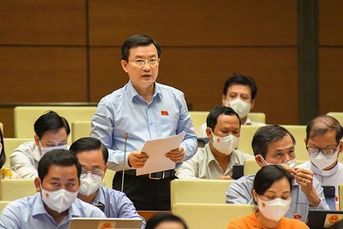 Đại biểu Phạm Trọng Nhân: 'Tôn vinh sao còn báo cáo thành tích?'