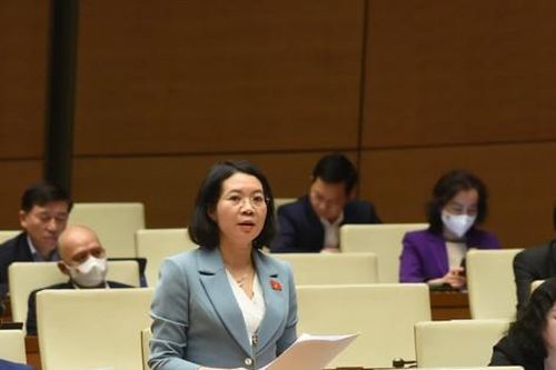 Nhiều điều cấm trong dự thảo Luật Điện ảnh 'khá mơ hồ'