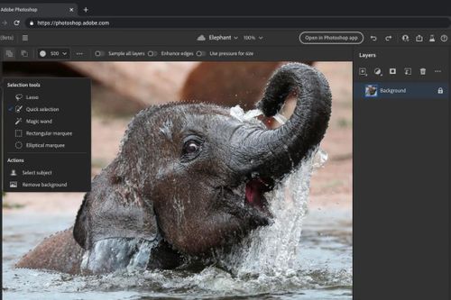 Photoshop và Illustrator sẽ sớm có mặt trên nền tảng web