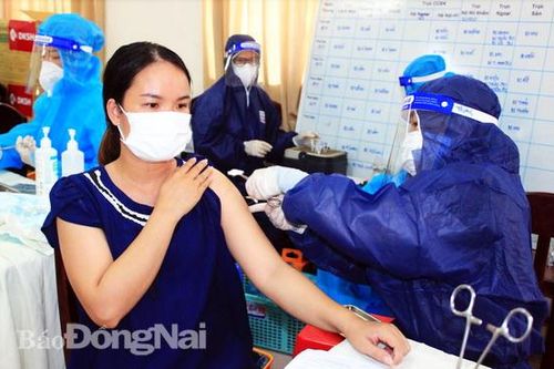 Sáng 28-10: Ghi nhận 229 ca mắc Covid-19 trong cộng đồng