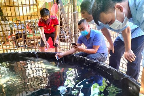 Xây dựng mô hình thủy sản có giá trị kinh tế cao