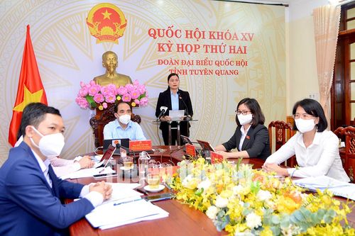 Đại biểu Quốc hội tỉnh góp ý hoàn thiện dự án Luật Thi đua, khen thưởng (sửa đổi)