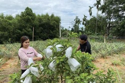 Chính trị - Xã hội Chính trị - Xã hội Giúp nhau thoát nghèo