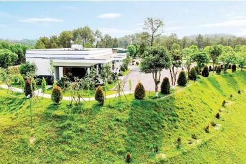 Đời sống Không để người chết 'lấn' đất người sống - kỳ 2: Hướng đến phương thức hỏa táng