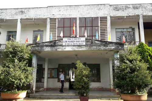 Kon Tum: Công ty lâm nghiệp tham nhũng tiền tỷ, bị lấn chiếm nghìn ha đất rừng