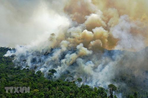 Lượng khí thải ở Brazil lên mức kỷ lục do nạn phá rừng Amazon