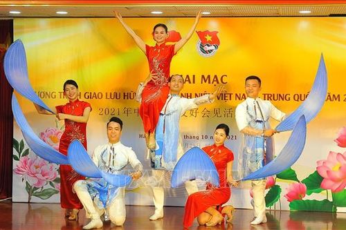 Thanh niên Việt Nam - Trung Quốc chia sẻ kinh nghiệm về nâng cao năng lực thích ứng