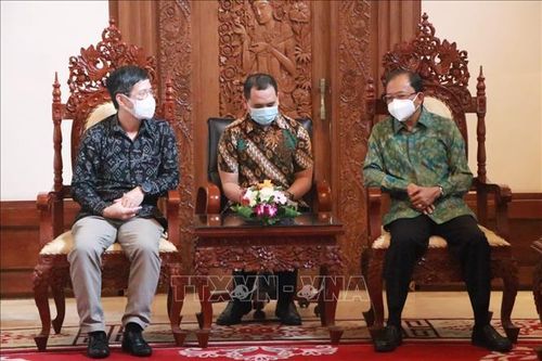 Việt Nam, Indonesia trao đổi kinh nghiệm chống dịch và mở cửa kinh tế