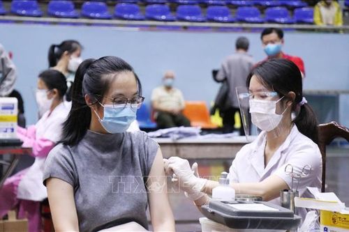 Đắk Lắk: Tỷ lệ tiêm phòng thấp, nguy cơ dịch bùng phát mạnh trong cộng đồng