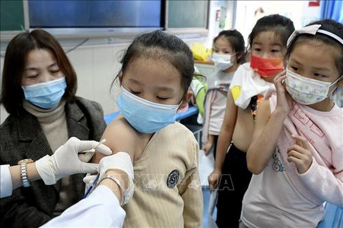 Toàn thế giới đã ghi nhận trên 246,4 triệu ca nhiễm virus SARS-CoV-2
