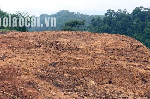 Bảo Thắng: Sẽ xử lý nghiêm tổ chức, cá nhân đổ chất thải ven Quốc lộ 4D