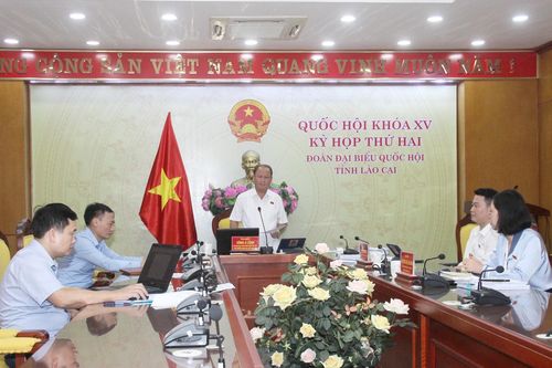 Đại biểu Quốc hội Lào Cai tham gia nhiều ý kiến đối với Kế hoạch tái cơ cấu nền kinh tế