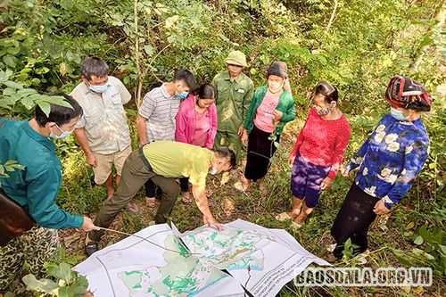 Sẽ chỉ còn chủ rừng là cộng đồng