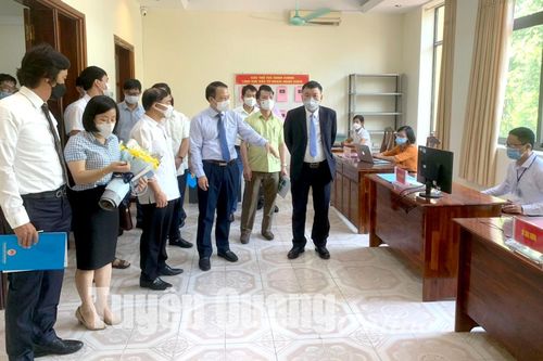 Những dự án 'vượt đại dịch'