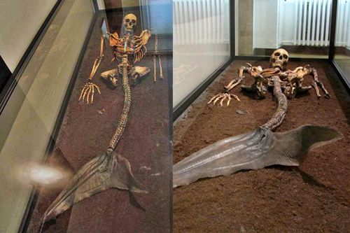 Phát hiện bộ xương nữ nửa người nửa cá, phải chăng 'nàng tiên cá' có thật?